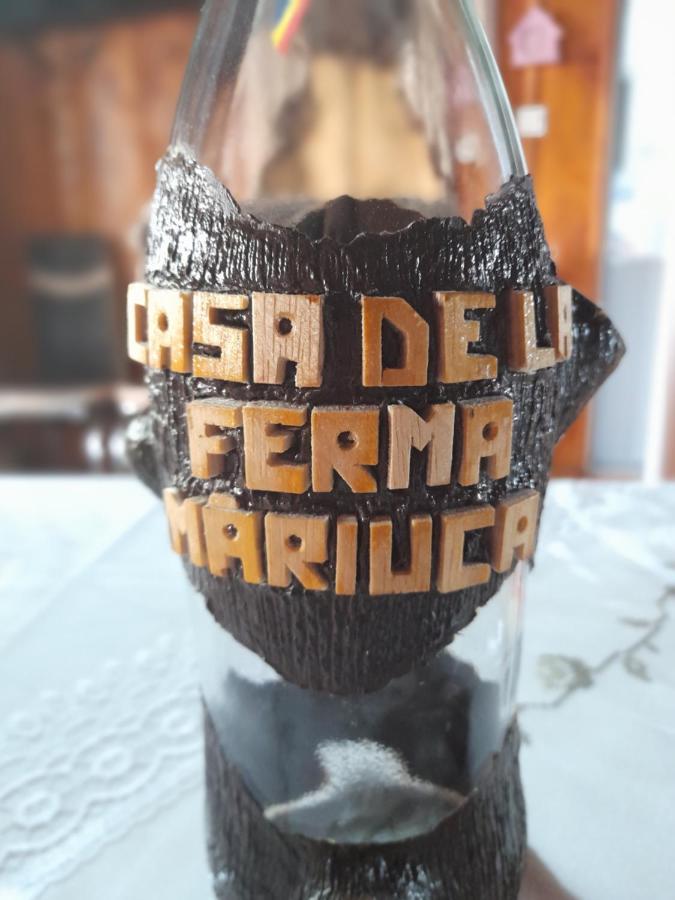 Berbesti Casa De La Ferma Mariuca 빌라 외부 사진