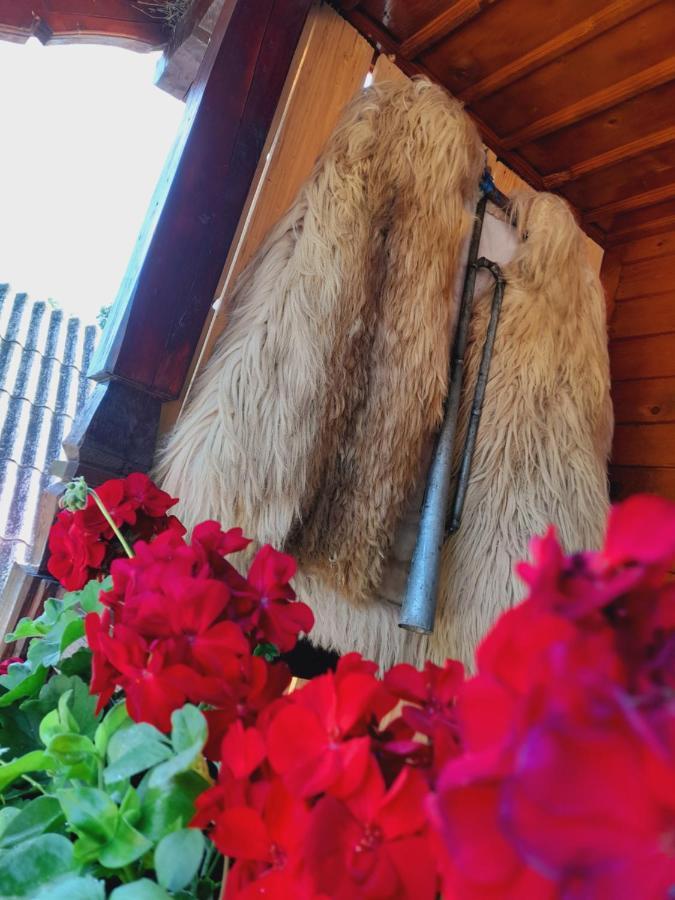 Berbesti Casa De La Ferma Mariuca 빌라 외부 사진