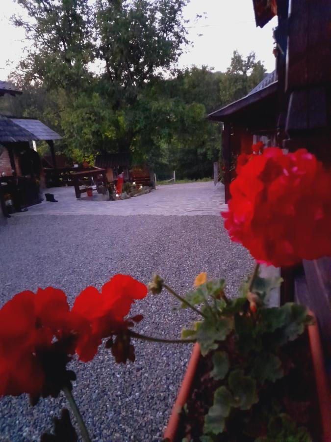 Berbesti Casa De La Ferma Mariuca 빌라 외부 사진