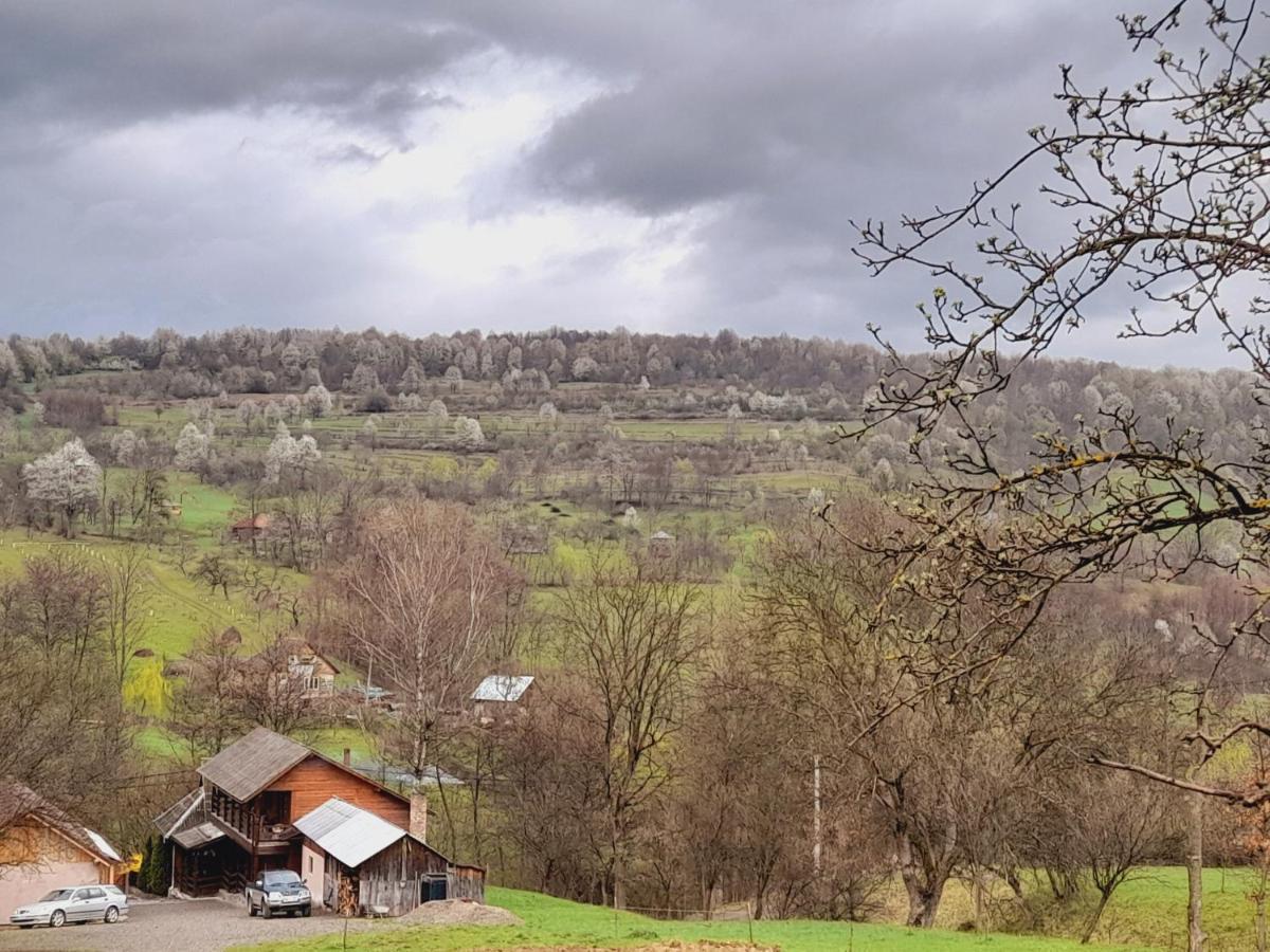 Berbesti Casa De La Ferma Mariuca 빌라 외부 사진
