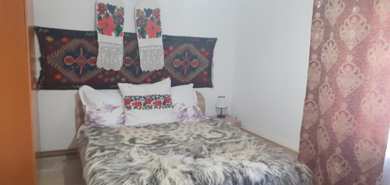 Berbesti Casa De La Ferma Mariuca 빌라 외부 사진