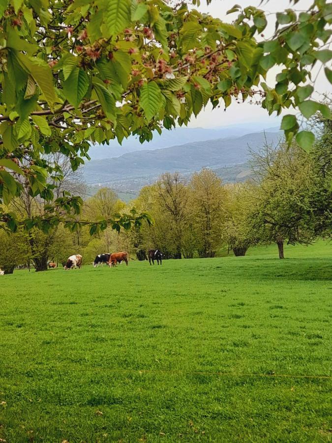 Berbesti Casa De La Ferma Mariuca 빌라 외부 사진