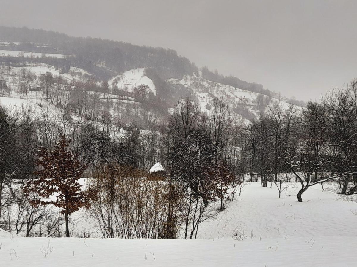 Berbesti Casa De La Ferma Mariuca 빌라 외부 사진